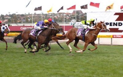 Ginspiel – City Winner at Moonee Valley