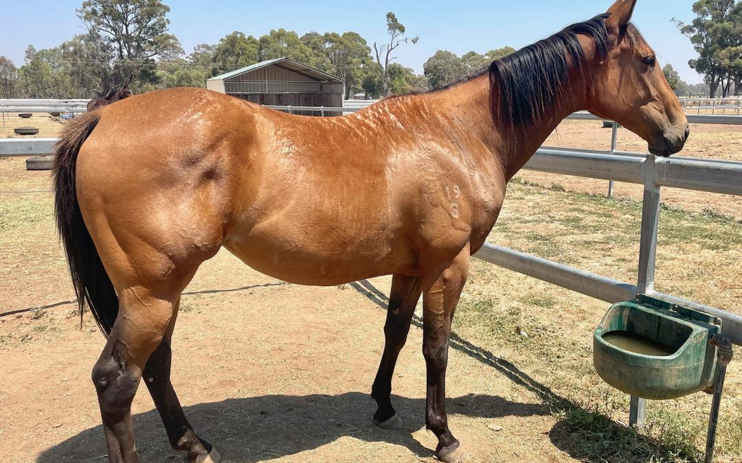 Un-Named (Overshare – Cinnamon Girl)