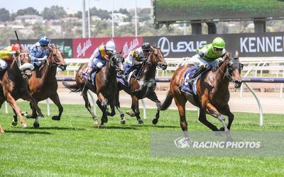 Six-Time Winner Beltoro Retired