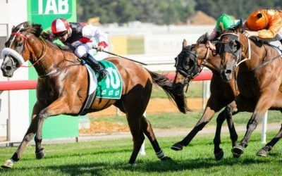 Almost Court wins Canberra Cup