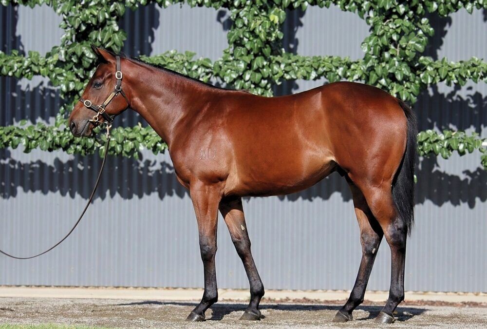 Un-named (So You Think – Liveinthefastlane)