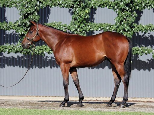 Un-named (So You Think - Liveinthefastlane)