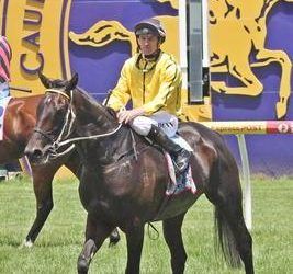 Edwards Backs Small Galloper