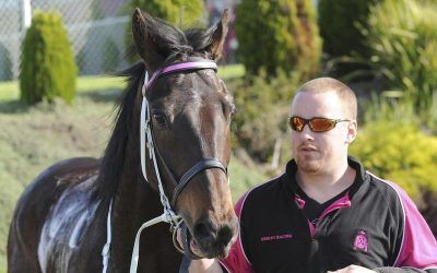 Budding stayer leads home stable quinella