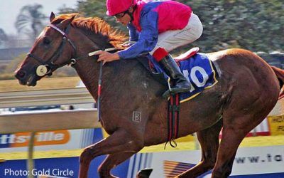 Singapore star joins stable