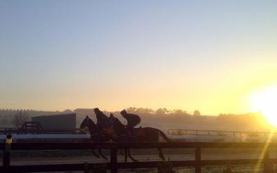 Trackwork @ Emsley