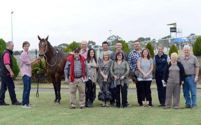 Hospital staff repaid when filly bolts in