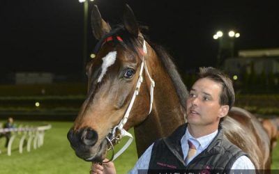 Cup Switch for Sertorius