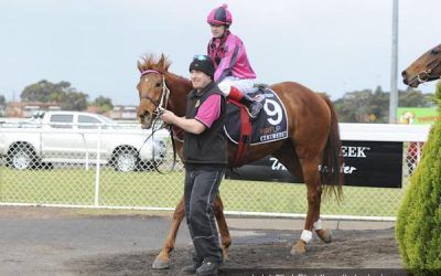 Viper’s Victory in Synthetic Stayers Final