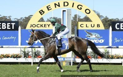 Sertorius to back up in Zipping