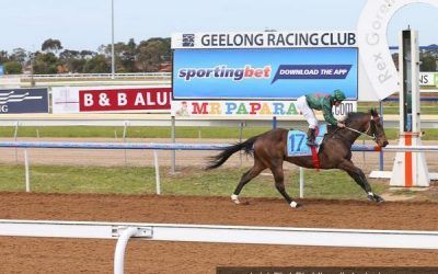 Marcello’s Sonata on Song at Geelong