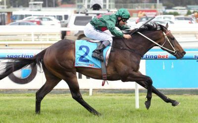 Cup optimism for Sertorius