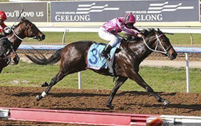 Consiello adds to imposing strike rate