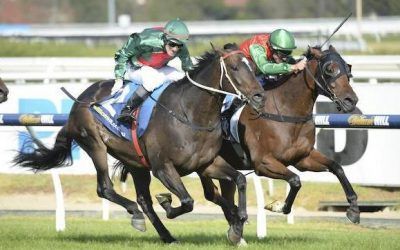 Sertorius wins Easter Cup