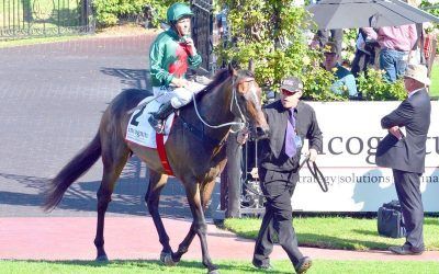 Sertorius close to Melbourne Cup start