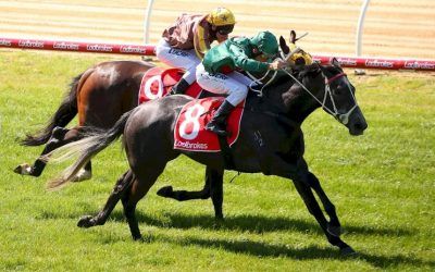 Roldana conquers Derby hope with maiden win