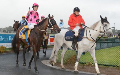 Kawabata wins a crack at Adelaide Cup