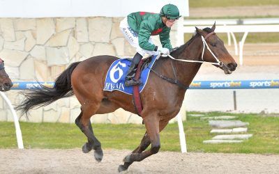 Macrobius wins his way to Stayers’ Final