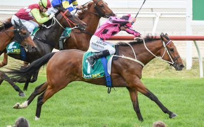 Divine win for Crossbearer