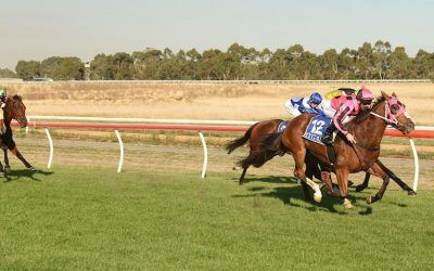 Bjorn Pretty books ticket to the ‘Bool