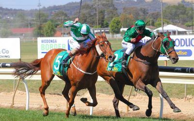 Macrobius digs deep for Wodonga victory