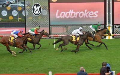 Macrobius $200k as stable lands first city double