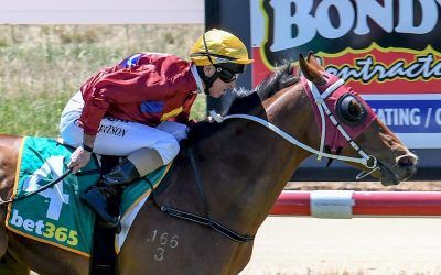 Crafty Lion pounces with maiden win