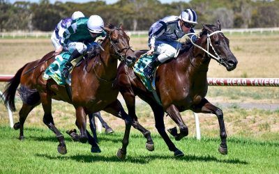 “Sexiest” galloper wins maiden