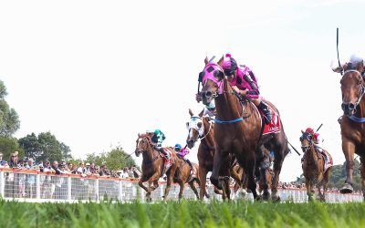 “Ziggy” toughs out Stony Creek Cup victory