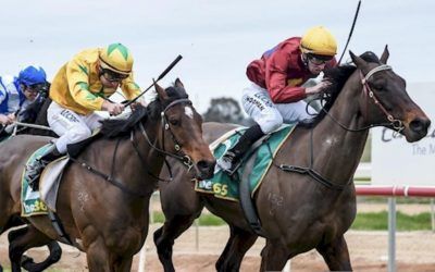 Honeywine justifies strong stable confidence