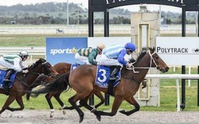 Humzz justifies confidence with stunning win