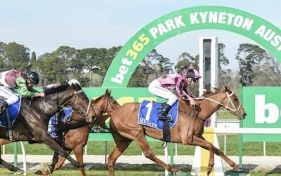 Tiny mare rises to occasion in staying test