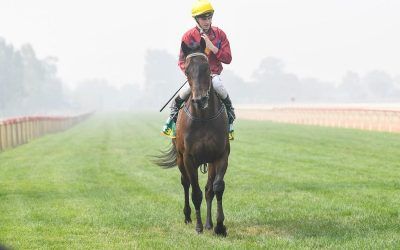 Honeywine breezes through smoke for overdue win