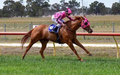 Consistent mare justifies Emsley Lodge confidence