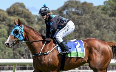 Victory for sweetened galloper