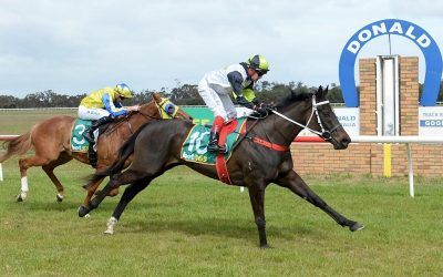 Promising stayer Evader lands betting plunge