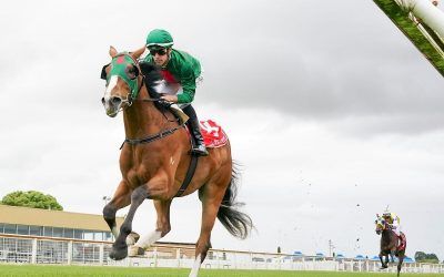 Miletus emerges as Derby hope after dominant win