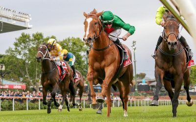 In-form mare digs deep for city win
