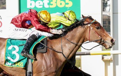 In-form “Jeffrey” adds to recent stable success