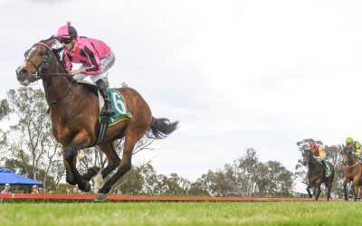 Tex Mex turns up the heat on debut
