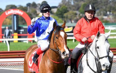 Australia Day win boosts autumn hopes for Blow In