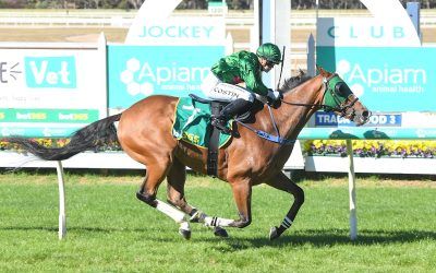 Owner’s faith and patience rewarded with Miletus