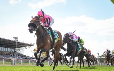 Fernrigg Farm filly shows class with easy Geelong win