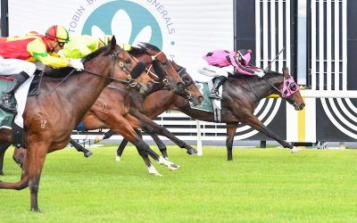Tango Jewel dazzles with Caulfield win