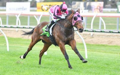 Just Bolts beats the odds with stunning comeback win