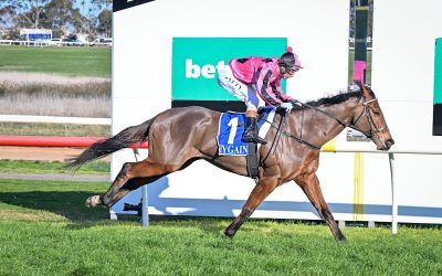 Hughie opens season with dashing win