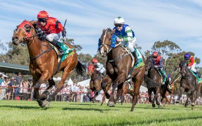 Gunbower “queen” title suits Lou Lou’s Choice