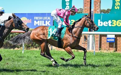 Bag of tricks to breakthrough for Racey Casey