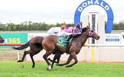 Just Bolts reaches milestone