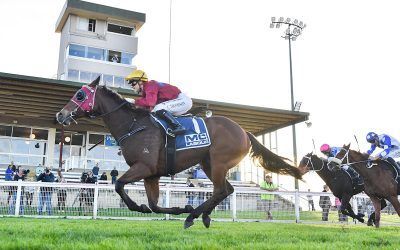 Chelsea makes it a hat-trick of wins with stable